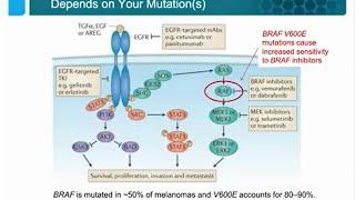 Precision Molecular Profiling of Cancer Using Droplet Digital™ PCR