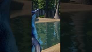 A small blue penguin in Planet Zoo