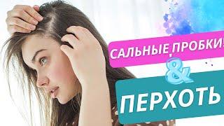 Выпадение волос..сальные пробки…(как они связанны)