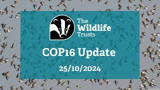 The Wildlife Trusts' #COP16 Update 25/10/2024