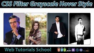 CSS filter grayscale hover style | Web Tutorials School