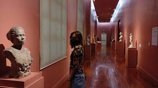 National museum of fine arts montage vlog ~Rosy Diaries