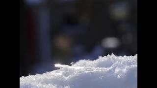 Burbuja congelándose en la nieve