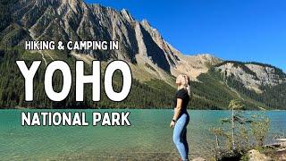 E4: Yoho National Park in September - Dispersed Van Camping & Hiking with a Dog