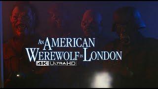 An American Werewolf in London 4K UHD - Nazi Werewolves | High-Def Digest