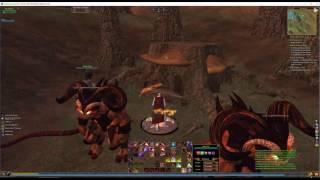 Everquest 2 - By Hook or By - 007 - Rukir Pineleaf (48^^^) - gives AA - COMPLETED