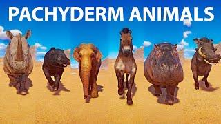 Pachyderm Animals Speed Races in Planet Zoo included Elephant, Rhino, Hippo, Horse