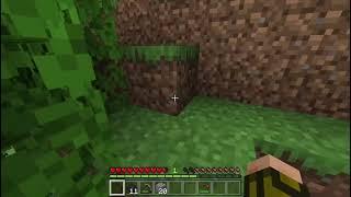 Larissa000￼ minecraft Projekt Folge 1