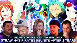 Straw Hat Pirates Reunite After 2 Years ! Post TimeSkip ! Reaction Mashup