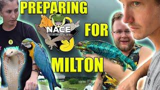 Preparing a REPTILE ZOO for HURRICANE MILTON!! ft. @WillNace