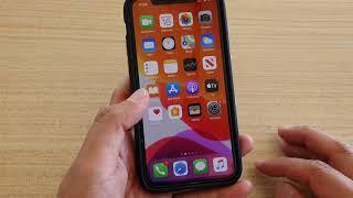 iPhone 11 Pro: How to Enable / Disable AutoFill Passwords