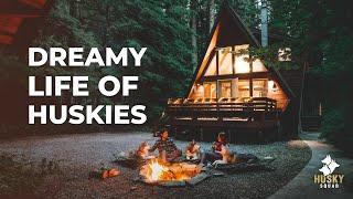 A-frame Cabin in Glacier Washington | Husky Squad