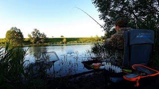 With a feeder to the upper reaches of the Don. Looking for bream in a new place in June