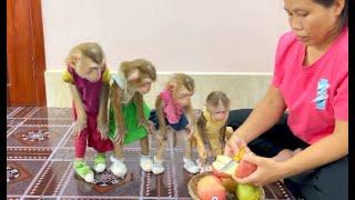 4 Siblings Standing Up Very Mannerly Waiting Mom To Slice Fruity Dessert For Them To Eat ,
