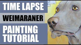 How to Paint a Weimaraner: 5 Minute watercolor timelapse painting tutorial