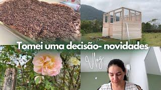 VLOG  NOVIDADES POR AQUI ️ decisão, bolo e primeira colheita