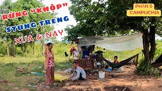 P5 - Campuchia : Rừng Khộp Stung Treng - Một thời không quên #Phuot_Duong_Kho 83