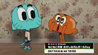 Cartoon Network Japan - February 2022 Highlights