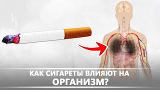 Как сигареты влияют на организм | DeeaFilm