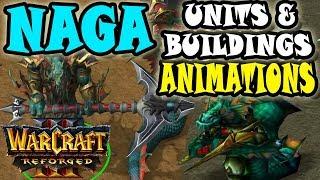 Warcraft 3 Reforged NEW NAGA MODELS & BUILDINGS ANIMATION COMPARISON REACTION VIDEO