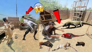 Macaw Parrot Aur Monkey Aur Sab Pets Par Big Lizard Ne Attack Kar DeaBig Dinasour Ne Attack Kar Dea