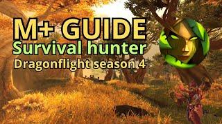 Season 4 Survival hunter M+ guide | Dragonflight | World of warcraft