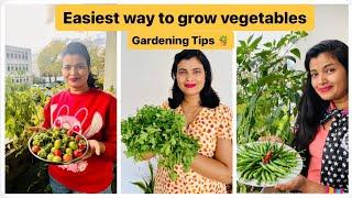 Easiest way to grow vegetables in Europe | यूरोपमे सब्जीया कैसे उगाये | Most requested video |