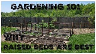 Why Raised Beds Are Best