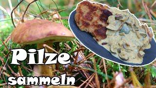 Pilze sammeln und sofort im Wald kochen - "Maronen Schnitzel"