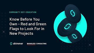 Shimmer DeFi Education Session by Bankless Consulting: #7 - Risk Management practices 27/10/22