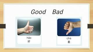 Common Chinese words with their opposites | Basics of Chinese | Chines vocabulary