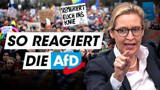 Anti-AfD-Demos: Das bringen sie WIRKLICH!