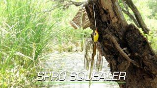 Kyle Welcher Reviews the All-New SPRO Squealer