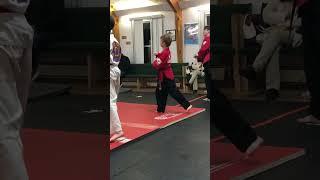 Gavin’s taekwondo lessons #gavin #taekwondo #martialartsclasses