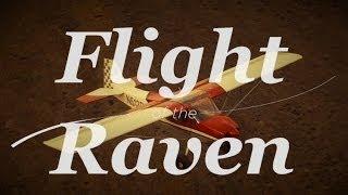 Flight of the Raven