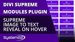 Divi Theme Supreme Image To Text Reveal On Hover 