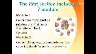 Human Anatomy and Physiology Course Review