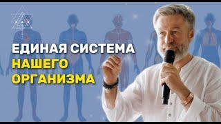 4 вида ума: единая система организма