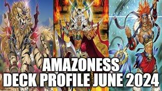 AMAZONESS DECK PROFILE (JUNE 2024) YUGIOH!