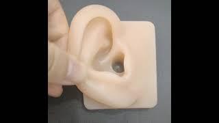 hongye Human body silicone ears are soft and elastic