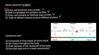 Amino acids - Zwitterions