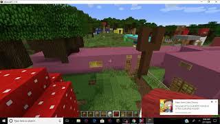 minecraft city Broken Bone Hosptial