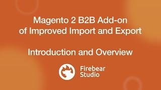 B2B Add-on of Magento 2 Improved Import & Export extension - Overview 2021