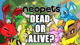 Neopets - Dead or Alive?