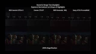 Dynamic Range Raw Comparison Test of RED Gemini, Canon C70, RED Komodo, and Sony A7S3