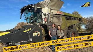 Mais Ernte 2024 Körnermais dreschen Mähdrescher Claas Lexion & Traktor McCormick Landwirtschaft Farm