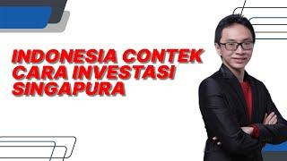 Apa Jadinya Kalau Indonesia Contek Cara Investasi Singapura?