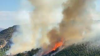 Fuerza Aérea vigilará incendios forestales desde el espacio con sistema SAF