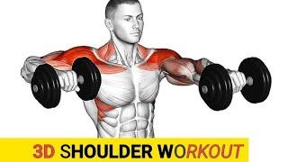 Get 3D Shoulders: Top Rear Delt Exercises You Need