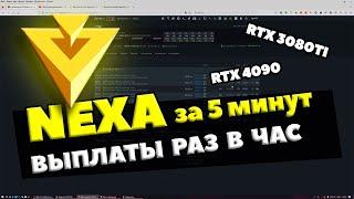 НАСТРОЙКА МАЙНИНГА NEXA ЗА 5 МИНУТ. ВИДЫ КОШЕЛЬКОВ. РАЗГОН 4090 И 3080TI | POOL137 ВЫПЛАТЫ РАЗ В ЧАС